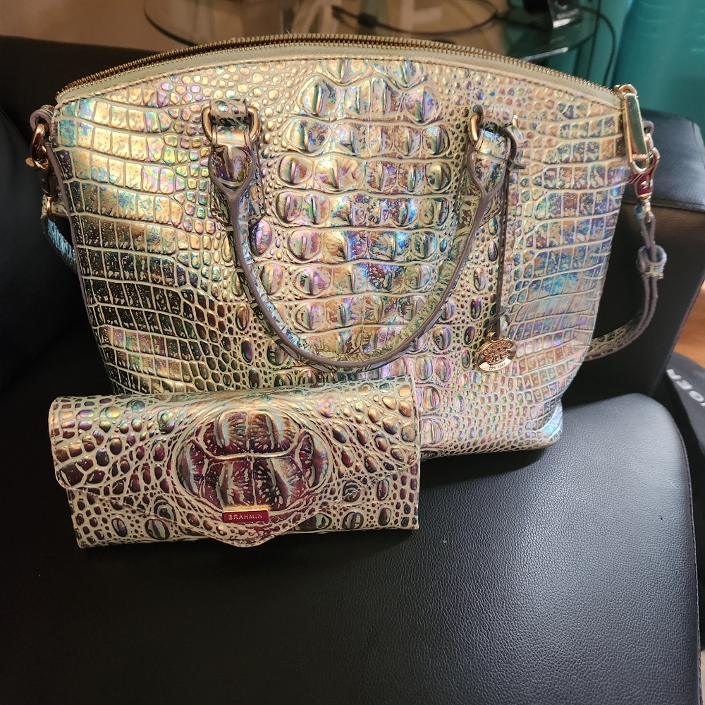 Brahmin Wonderland